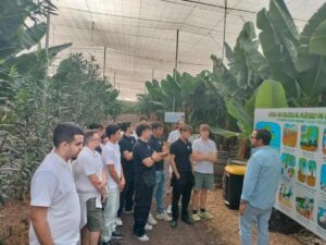 Banaanituur ja Guia de Isora linnaekskursioon