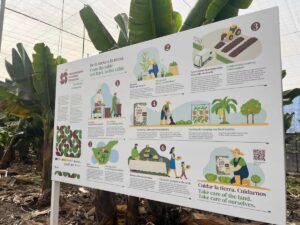 Banaanituur ja Guia de Isora linnaekskursioon