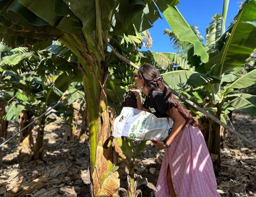 Banaanituur ja Guia de Isora linnaekskursioon