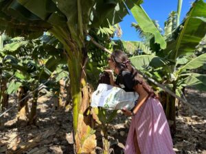 Banaanituur ja Guia de Isora linnaekskursioon