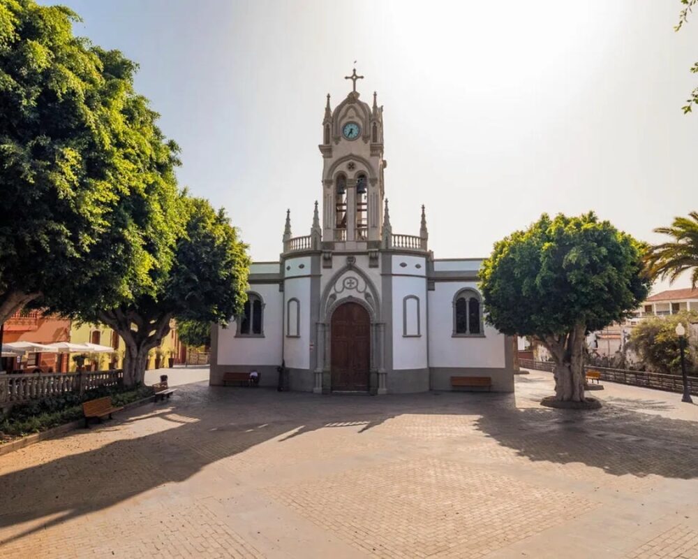 Banaanituur ja Guia de Isora linnaekskursioon