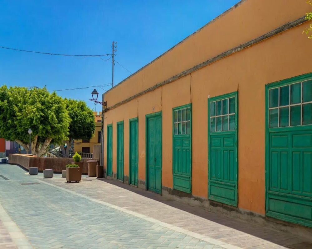 Banaanituur ja Guia de Isora linnaekskursioon