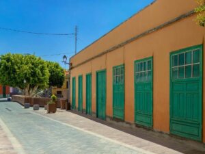 Banaanituur ja Guia de Isora linnaekskursioon