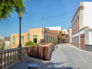 Banaanituur ja Guia de Isora linnaekskursioon