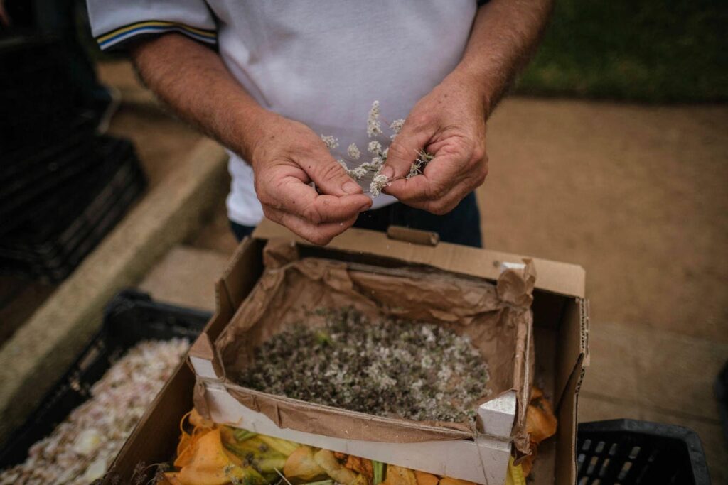 Eriekskursioon La Orotavasse vaatama lille- ja liivavaipu