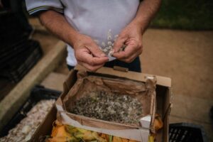 Eriekskursioon La Orotavasse vaatama lille- ja liivavaipu