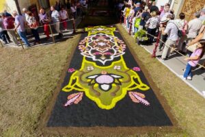 Eriekskursioon La Orotavasse vaatama lille- ja liivavaipu