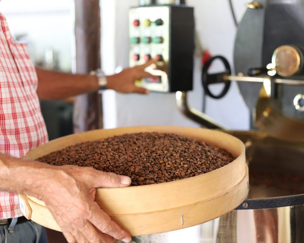 Agaete org Gran Canaria, ainus paik Euroopas, kus kasvatatakse kohvi kaubanduslikult, Arabica Typica