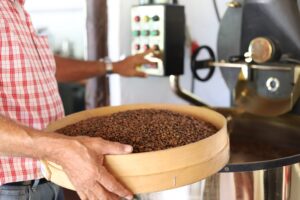 Agaete org Gran Canaria, ainus paik Euroopas, kus kasvatatakse kohvi kaubanduslikult, Arabica Typica