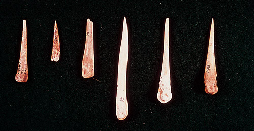 Tenerifel guantšid, Gran Canarial canarios, La Palmal benahoariidid ehk auariidid, La Gomeral gomerod, El Hierrol bimbached ning Lanzarotel ja Fuerteventural majod/mahod