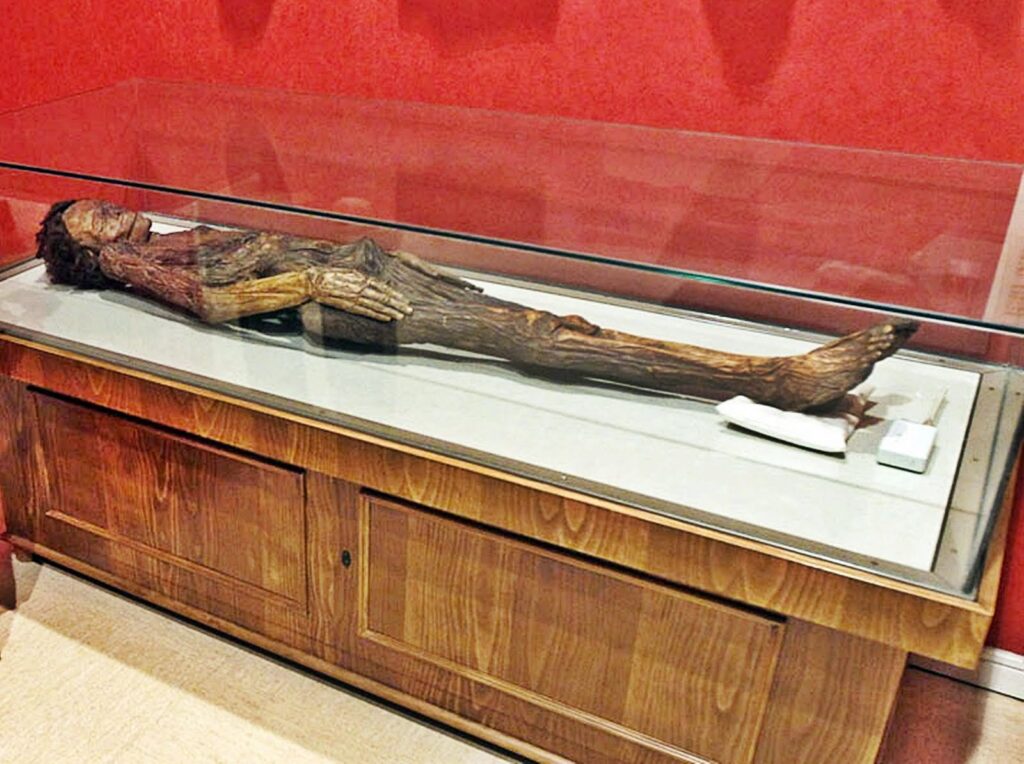 Tenerifel guantšid, Gran Canarial canarios, La Palmal benahoariidid ehk auariidid, La Gomeral gomerod, El Hierrol bimbached ning Lanzarotel ja Fuerteventural majod/mahod