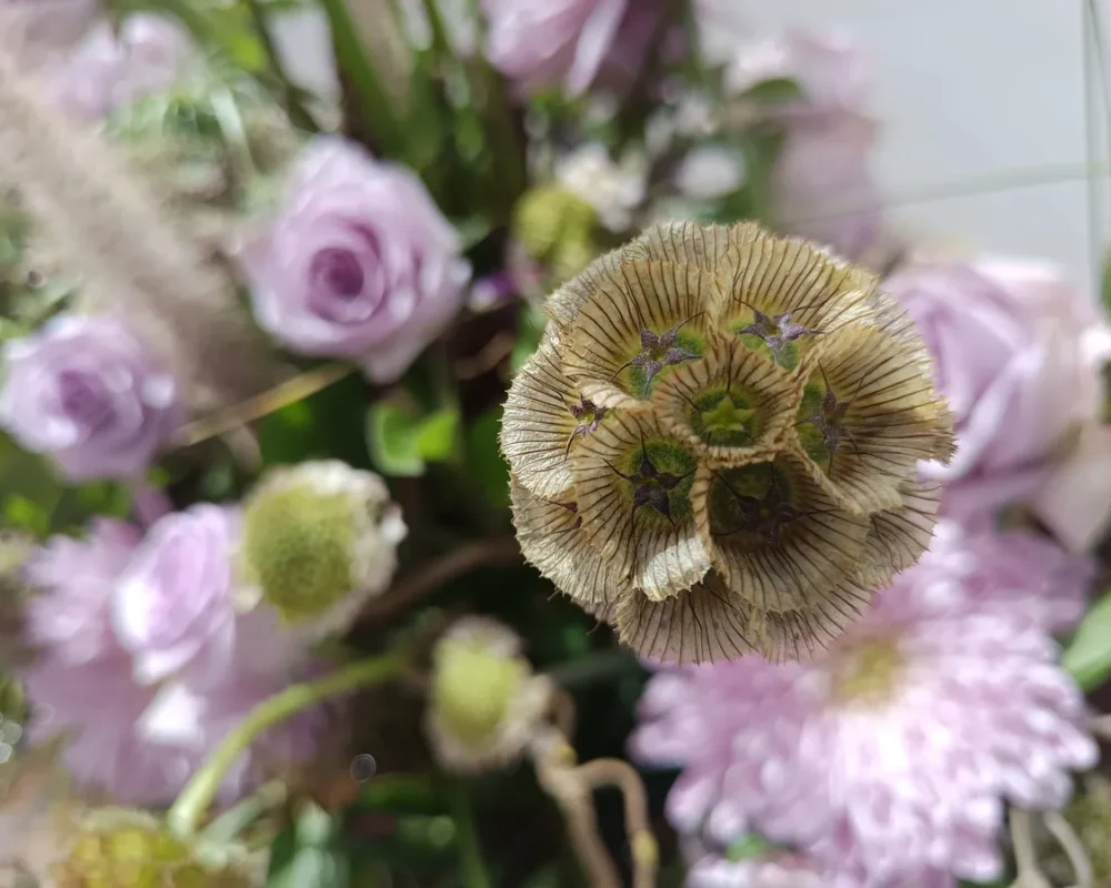 Iga-aastane lihavõttepühade ajal toimuv lilleinstallatsioonide festival Pascua Florida Guia de Isoras Tenerifel