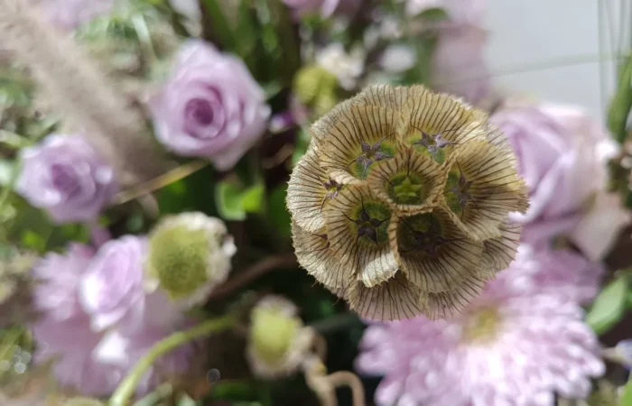 Iga-aastane lihavõttepühade ajal toimuv lilleinstallatsioonide festival Pascua Florida Guia de Isoras Tenerifel