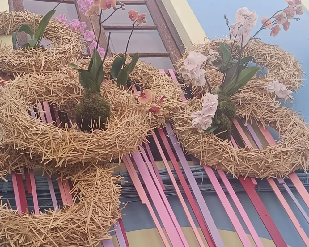 Iga-aastane lihavõttepühade ajal toimuv lilleinstallatsioonide festival Pascua Florida Guia de Isoras Tenerifel