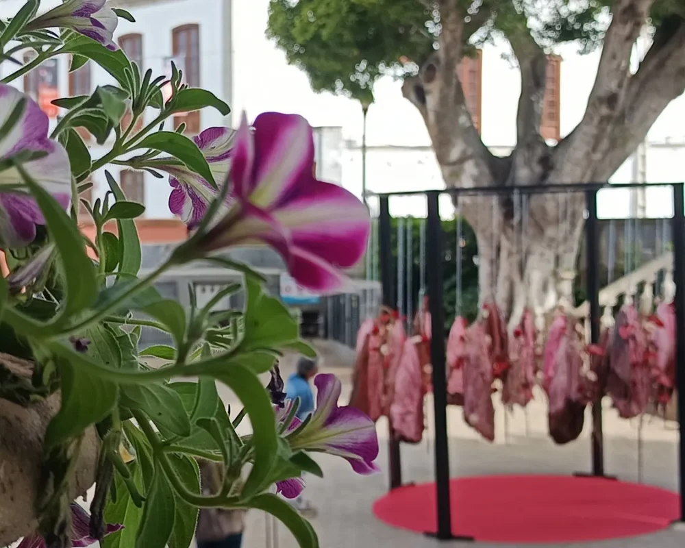 Iga-aastane lihavõttepühade ajal toimuv lilleinstallatsioonide festival Pascua Florida Guia de Isoras Tenerifel