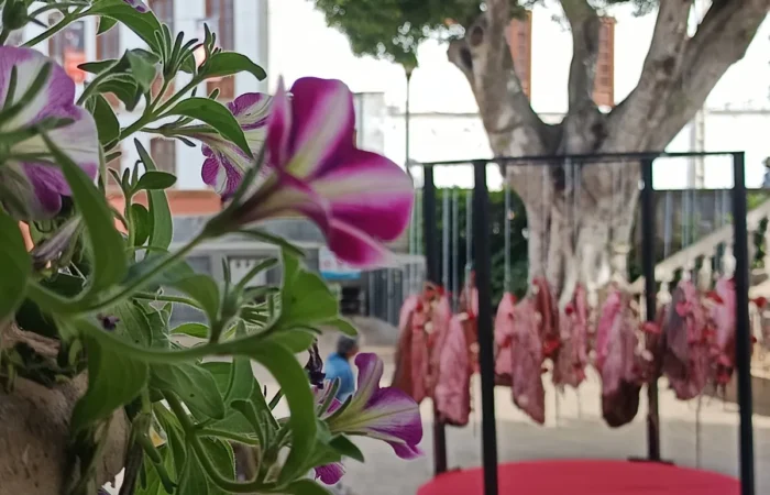 Iga-aastane lihavõttepühade ajal toimuv lilleinstallatsioonide festival Pascua Florida Guia de Isoras Tenerifel