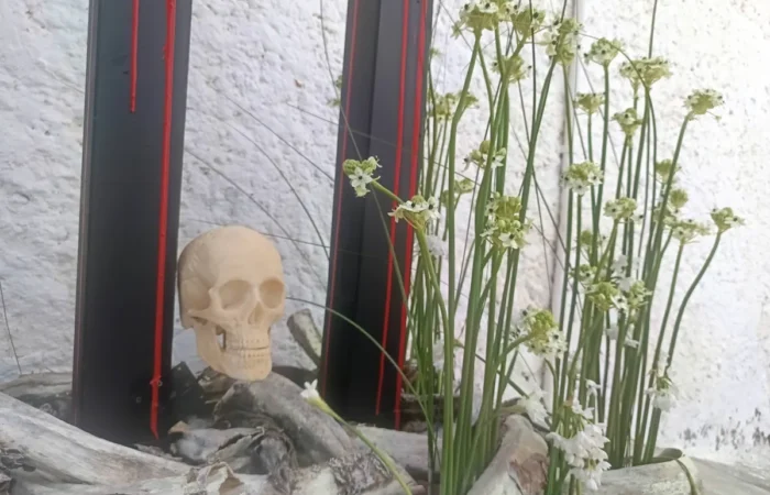 Iga-aastane lihavõttepühade ajal toimuv lilleinstallatsioonide festival Pascua Florida Guia de Isoras Tenerifel