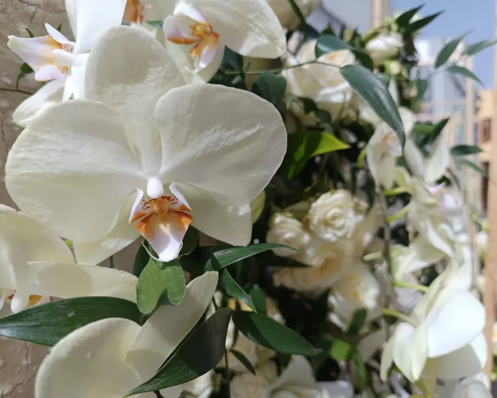 Iga-aastane lihavõttepühade ajal toimuv lilleinstallatsioonide festival Pascua Florida Guia de Isoras Tenerifel