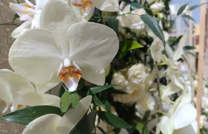 Iga-aastane lihavõttepühade ajal toimuv lilleinstallatsioonide festival Pascua Florida Guia de Isoras Tenerifel