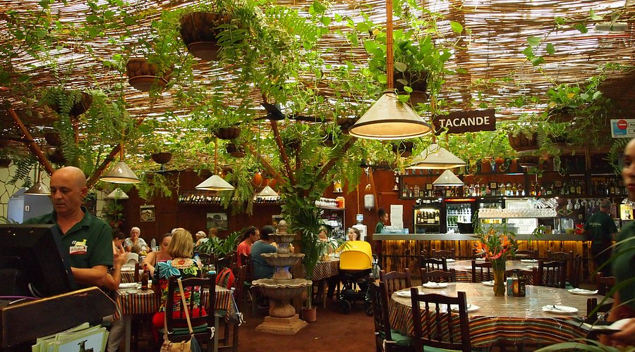 Tenerife Kompass kohvik ja restoran, millel on kaunis sisekujundus ja rohelised taimed, pakub maitsv.