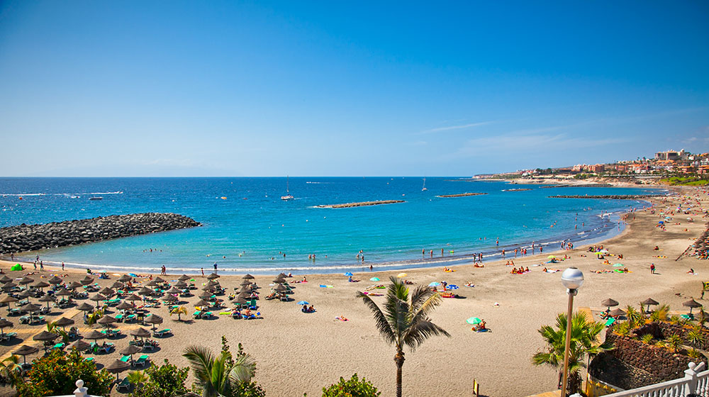 Playa de Torviscas