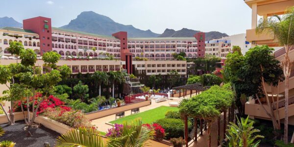 Best Jacaranda