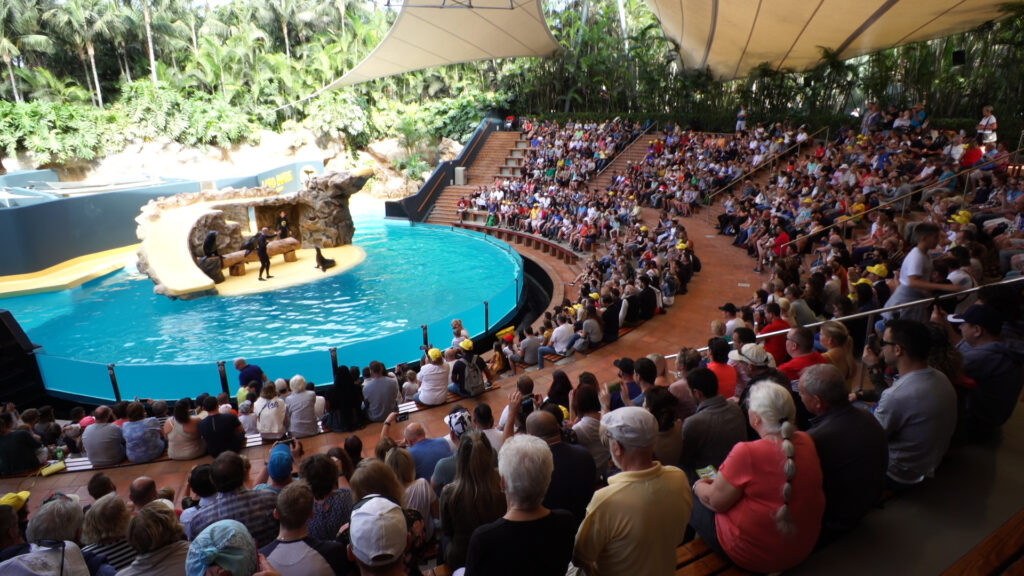 Loro park merilõvide show Tenerife Kompass