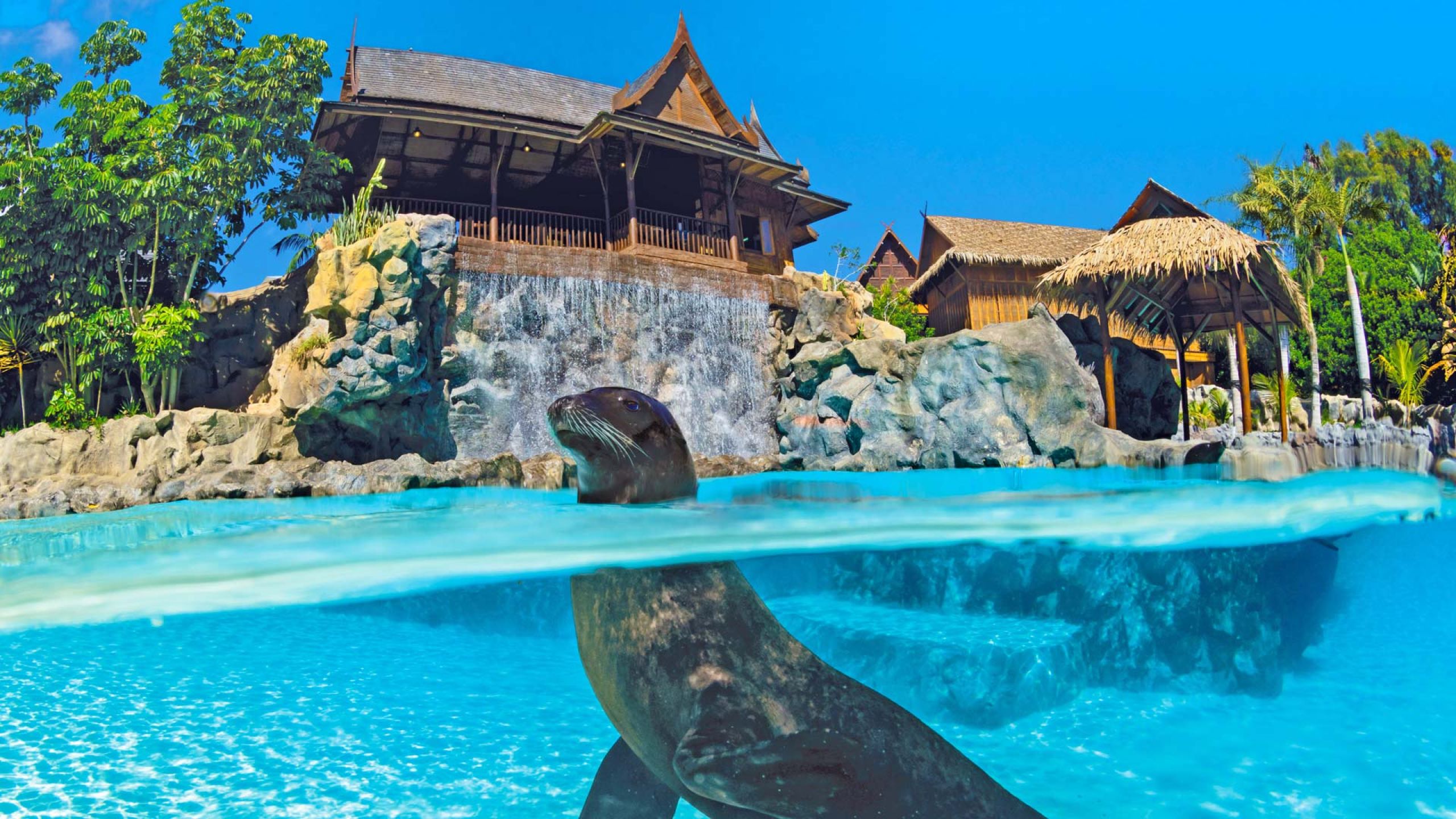 Sea Lion Island merilõvide bassein Siam Park sissepääsu juures