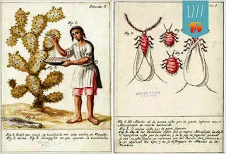 Cochinilla ja karmiin