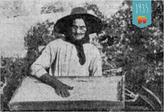 Cochinilla ja karmiin