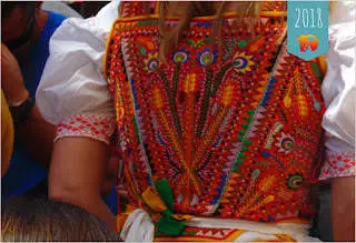 Cochinilla ja karmiin