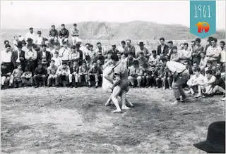 Gofio Tenerifel ja kanaari maadlus