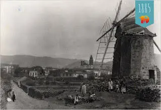 Gofio Tenerifel ja kanaari maadlus