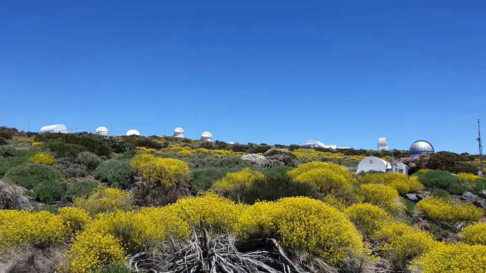 Starmus startis just Tenerifelt 2011