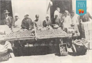 Kanaari kartul Tenerifel