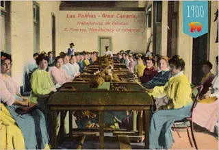 Kanaari tubakas ja sigarid