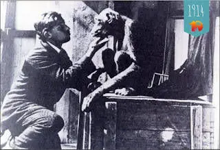 Wolfgang Köhler Tenerifel