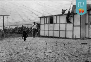 Wolfgang Köhler Tenerifel