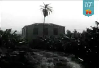 Wolfgang Köhler Tenerifel