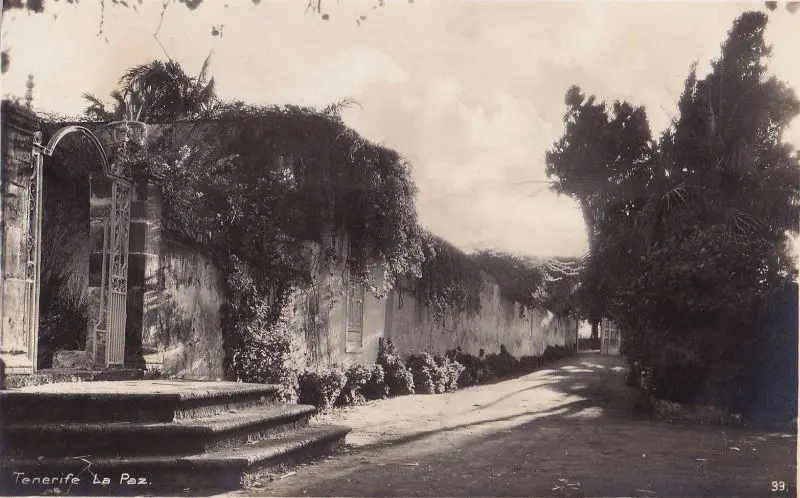 Alexander von Humboldt Tenerifel 1799