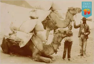 Tenerife kõrbelaevastik ehk kaamelid Kanaari saartel