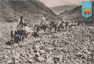 Tenerife kõrbelaevastik ehk kaamelid Kanaari saartel