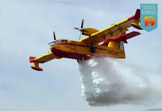 Metsatulekahjud Tenerifel