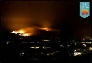 Metsatulekahjud Tenerifel