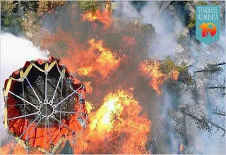 Metsatulekahjud Tenerifel