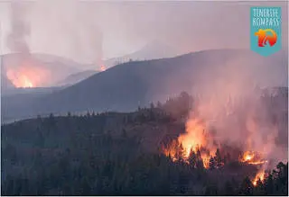 Metsatulekahjud Tenerifel