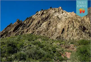 Tenerife kaljujoonised ehk petroglüüfid