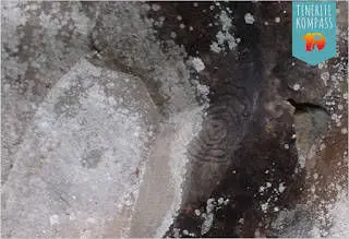 Tenerife kaljujoonised ehk petroglüüfid