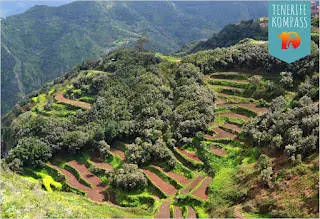 Tenerife terrasspõllud ehk rippuvad aiad